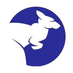 kangor.perevozchik